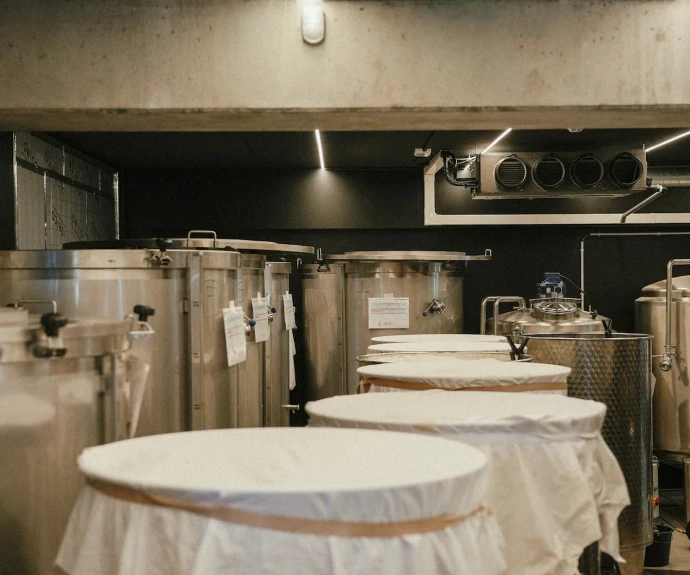 Rish - Savoir-Faire