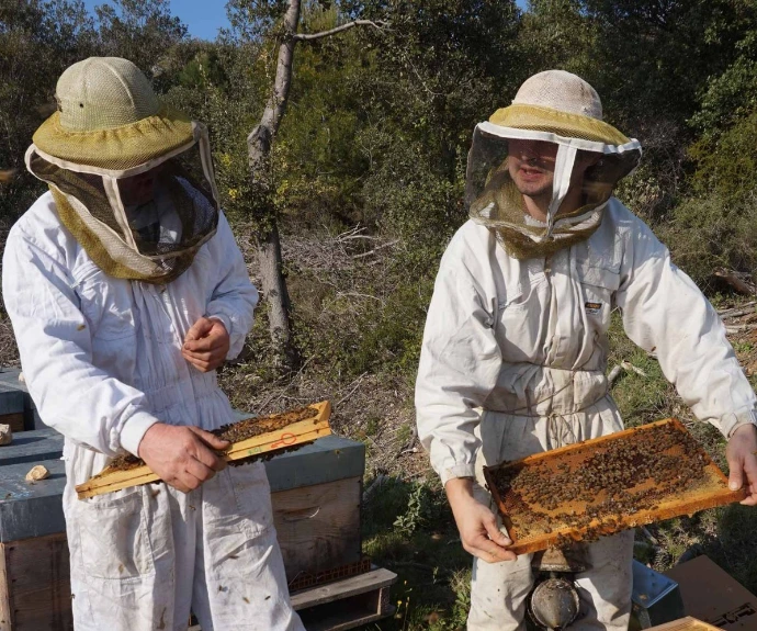 Nos Abeilles Ont Du Pot - Savoir-faire