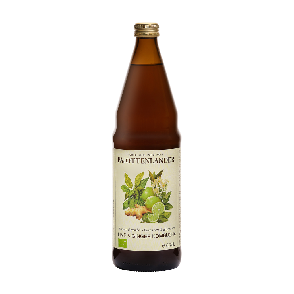[PA-40P] 75cl - Kombucha Citron et Gingembre bio (consigné) - Pajottenlander