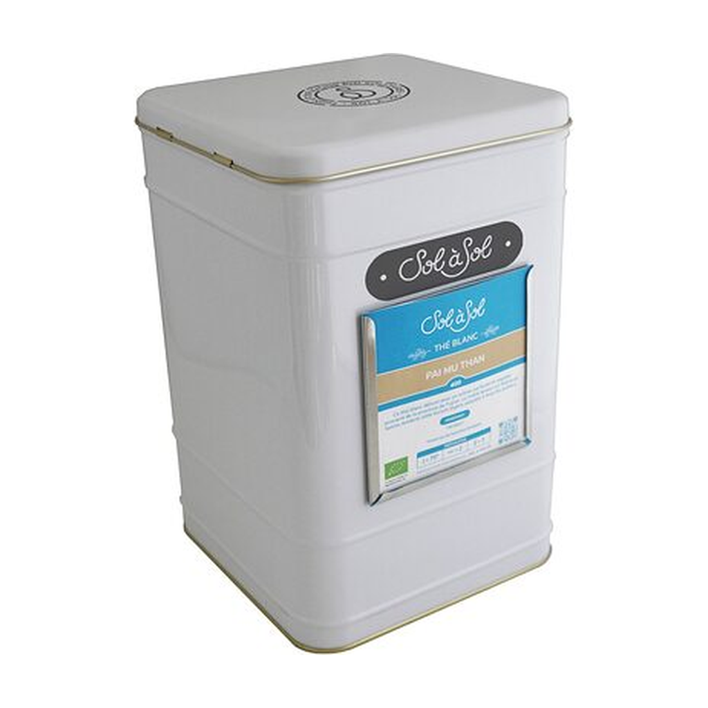 Boite métallique blanche 2kg  (171 x 171 x 256 mm) - Sol à Sol