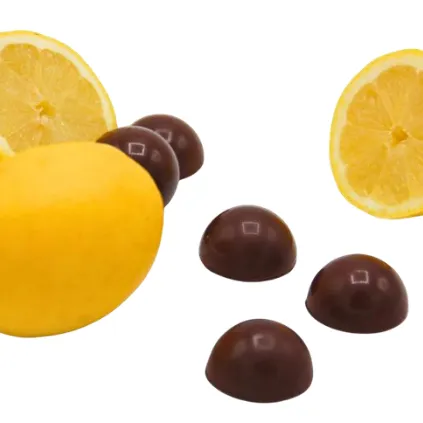 [NAO-N316] 2,5kg - Dome chocolat Noir praliné zeste de Citron bio - Nao