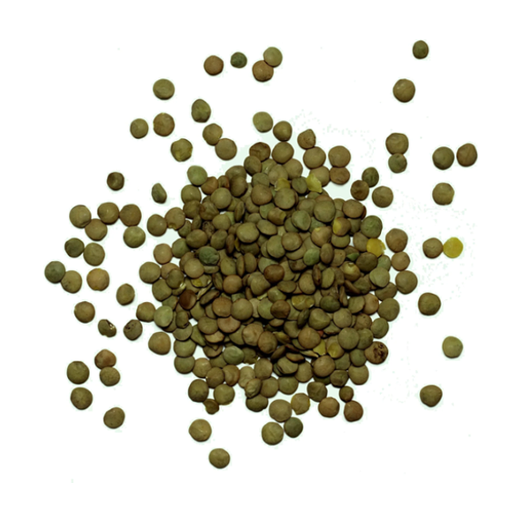 [BC-LV10KG] 10kg - Lentilles vertes bio - Biocer